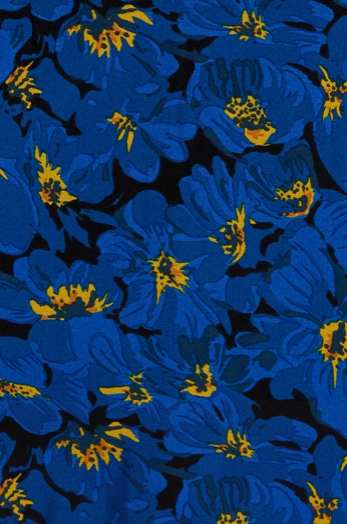 LEO BOUTIQUE MONTENEGRO Top El Limon Floral Blue FAITHFULL THE BRAND 