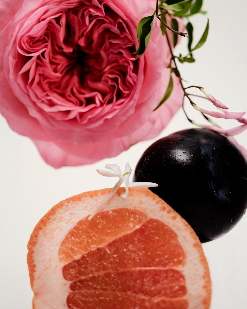 MAISON LOUIS MARIE Perfume Oil | No.14 Icila LEO BOUTIQUE