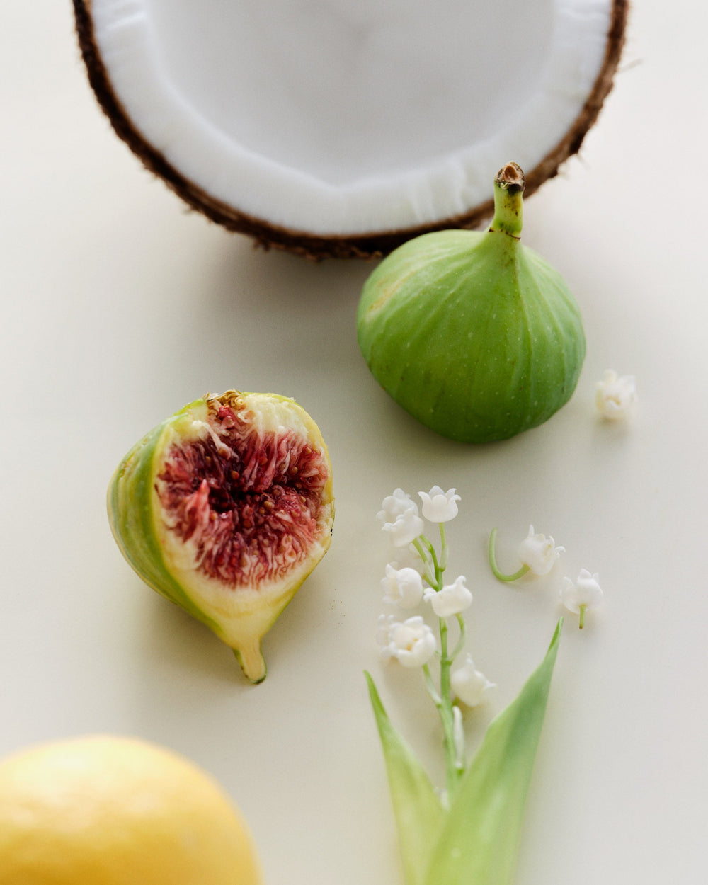 Maison Louis Marie Eau de Parfum No. 02 Le Long Fond LEO BOUTIQUE