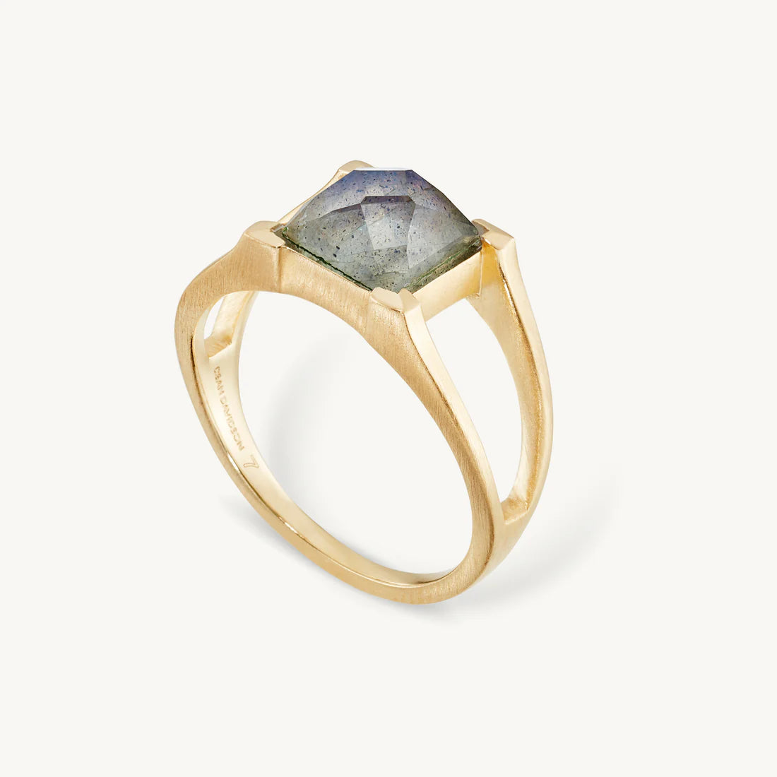 LEO BOUTIQUE Petit Plaza Ring | Iridescent Labradorite FR120-G-LBD DEAN DAVIDSON