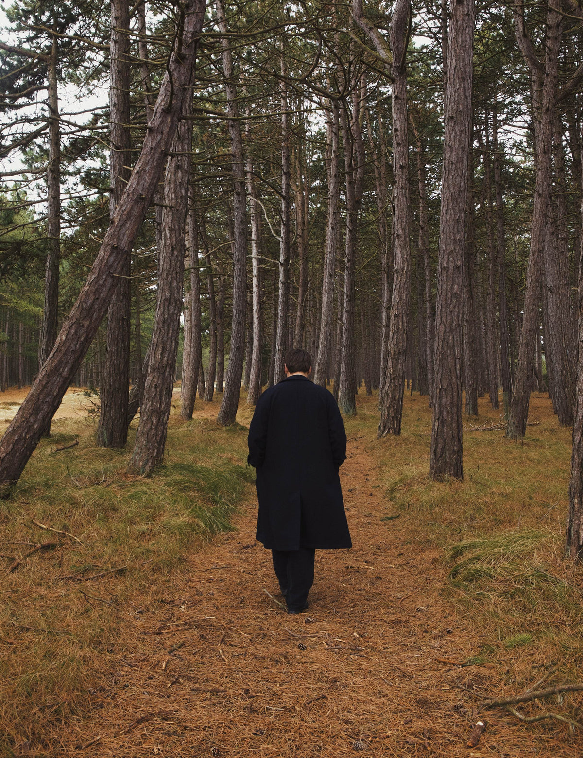 FORÉT Pine Wool Coat | Navy LEO BOUTIQUE 