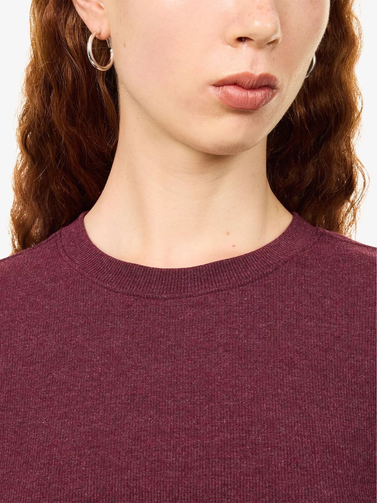 FRAME DENIM The Rib Crew Tee | Currant Heather LEO BOUTIQUE